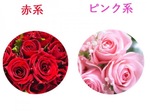 赤ピンク系花