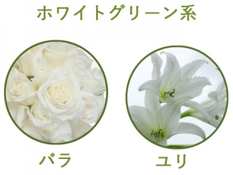 ホワイト花